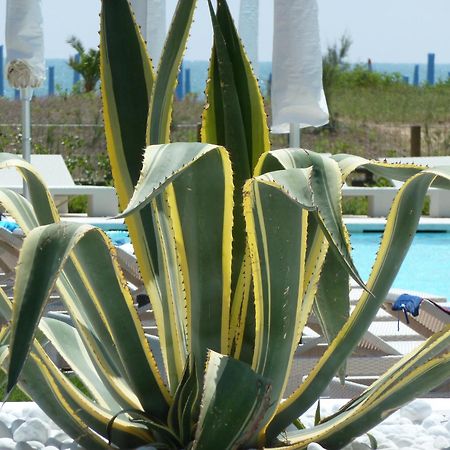 לידו די ג'סולו Hotel Mediterraneo Suite&Residence מראה חיצוני תמונה